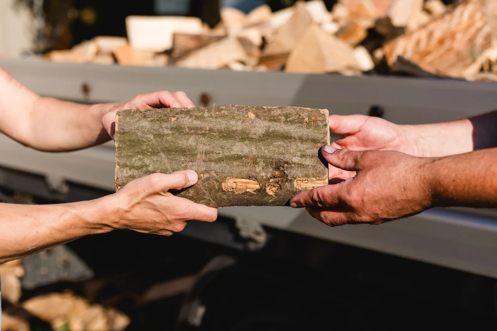 Zwei Personen halten einen Holzscheit mit sichtbarer Rinde in den Händen